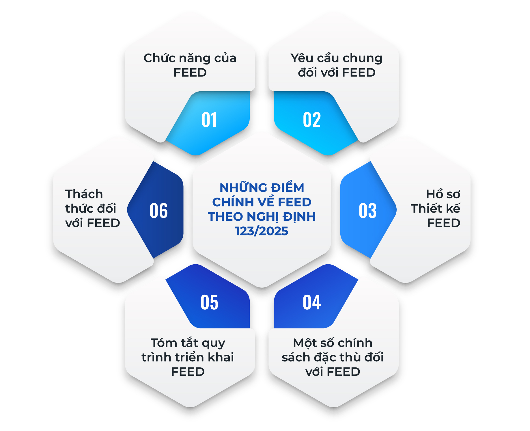 Thiết kế FEED