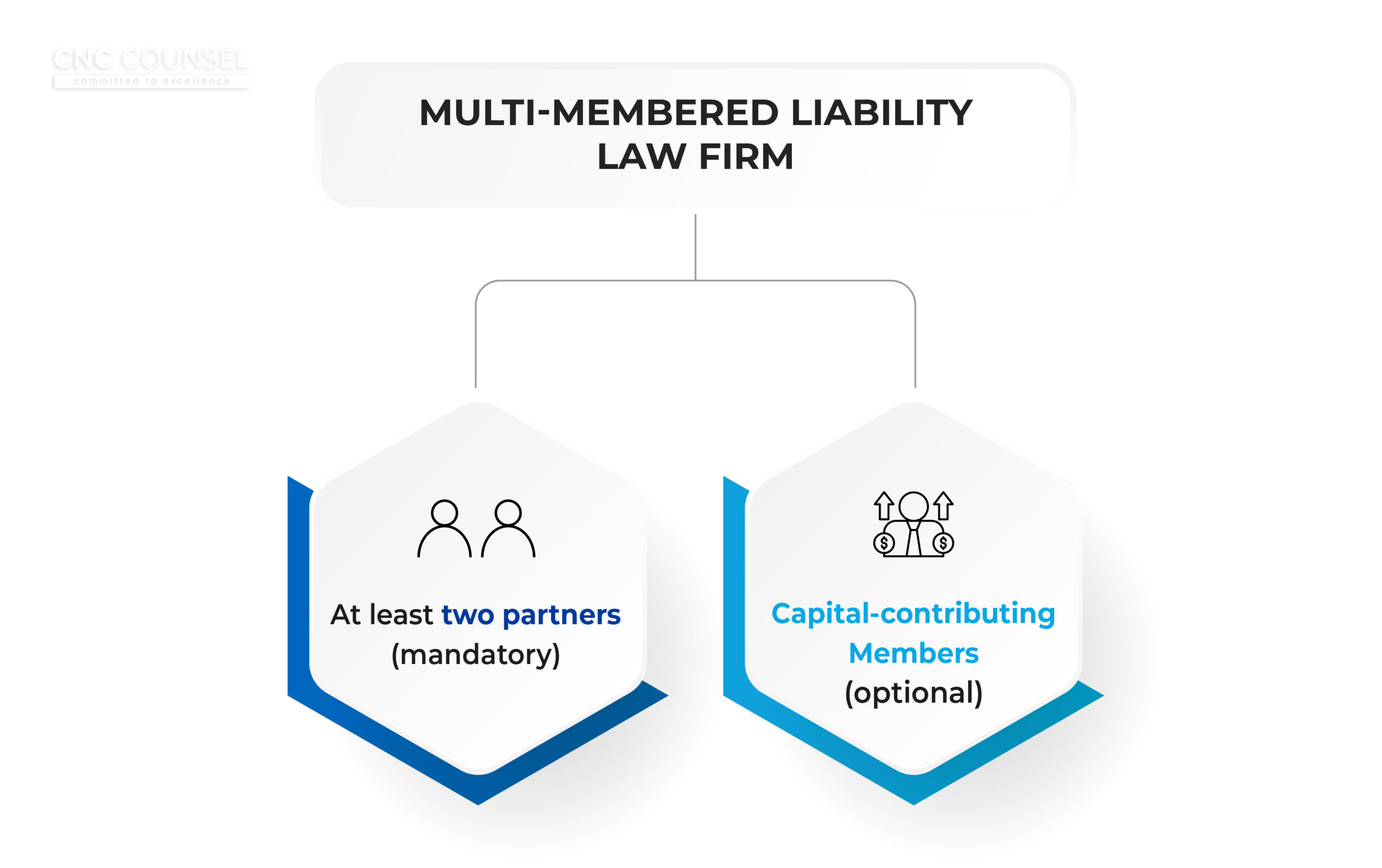 Draft of Law on Lawyers (Amendment)