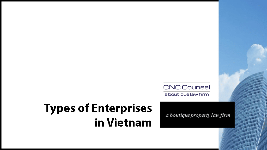 Types of Enterprises in Vietnam