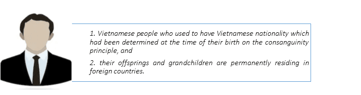 What is overseas Vietnamese