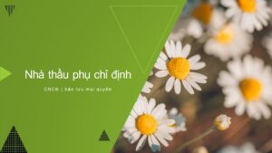 Nhà thầu phụ chỉ định
