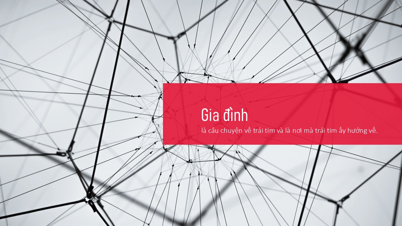 Tư vấn Luật hôn nhân và gia đình